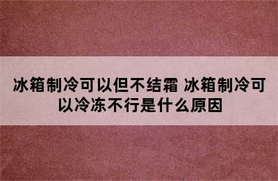 冰箱制冷可以但不结霜 冰箱制冷可以冷冻不行是什么原因